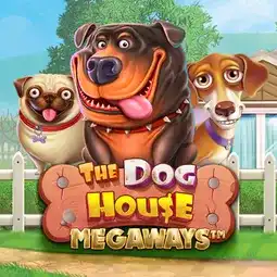 The Dog House Megaways game at Joo Casino for Australian players The Dog House Megaways game at Joo Casino for Australian players