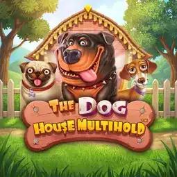 The Dog House Multihold game at Joo Casino for Australian players The Dog House Multihold game at Joo Casino for Australian players